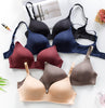 Seamless Push Up Bra (1pc)