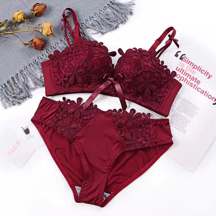 Lace Embroidered Bra and Panties Set