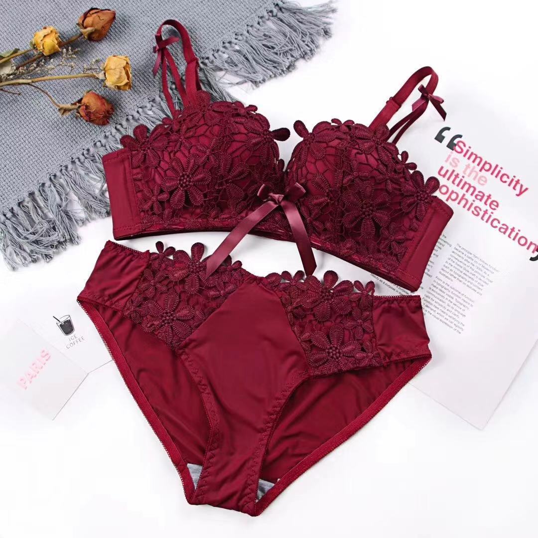 Lace Embroidered Bra and Panties Set
