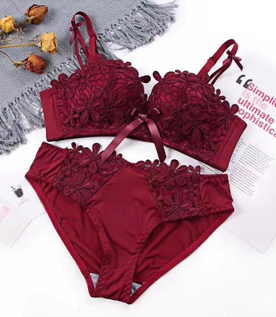 Lace Embroidered Bra and Panties Set