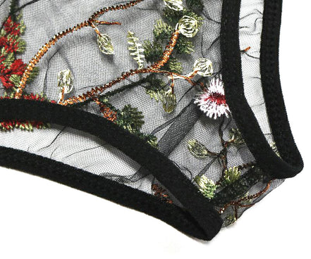Sheer Bra and Panties Set