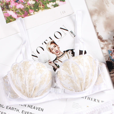 Embroidered Shell Bra and Panties Set