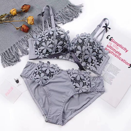 Lace Embroidered Bra and Panties Set