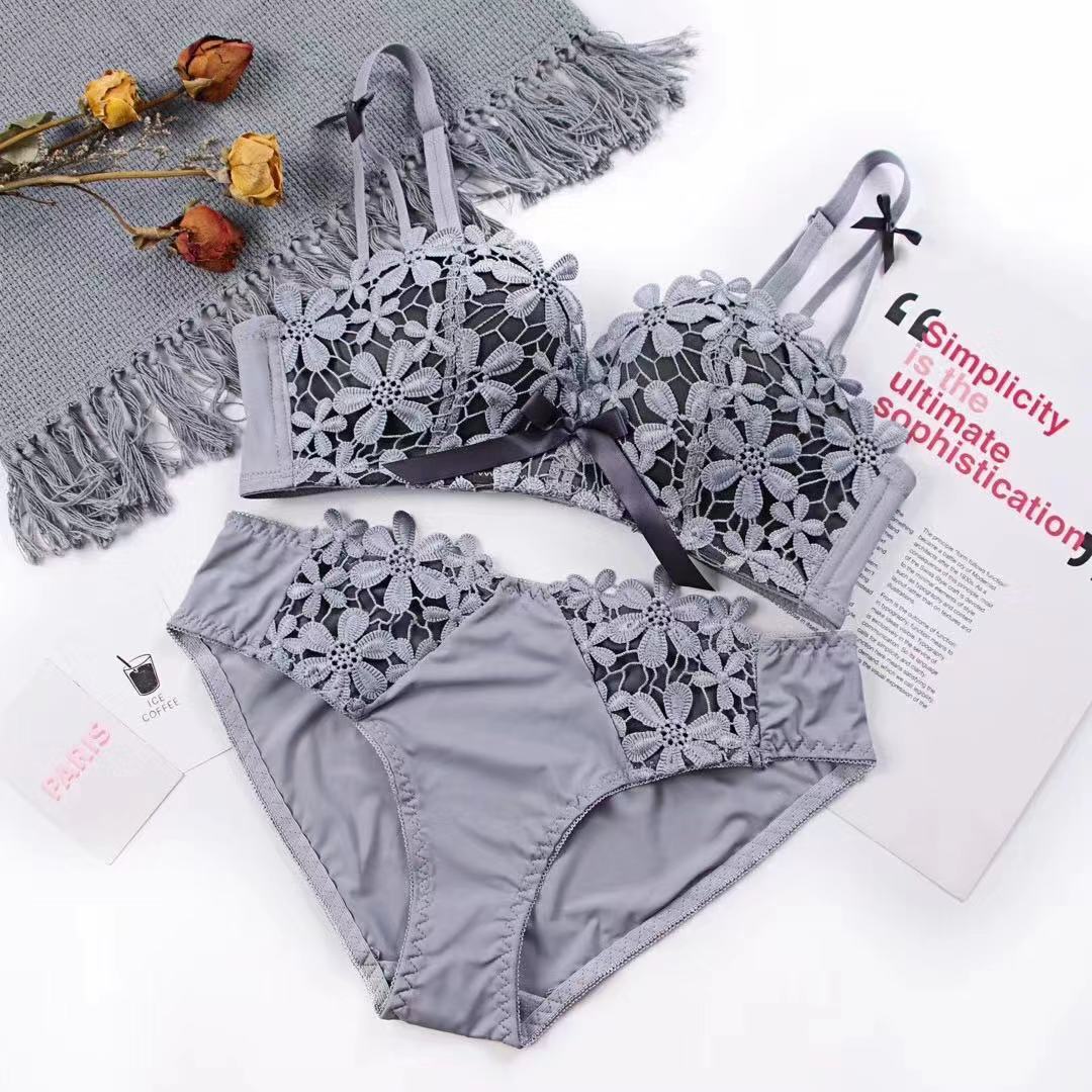 Lace Embroidered Bra and Panties Set