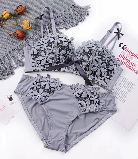 Lace Embroidered Bra and Panties Set