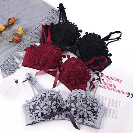 Lace Embroidered Bra and Panties Set