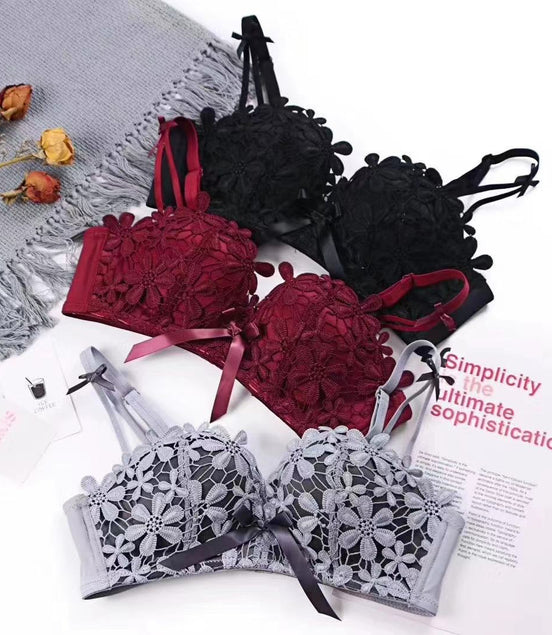 Lace Embroidered Bra and Panties Set