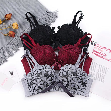 Lace Embroidered Bra and Panties Set