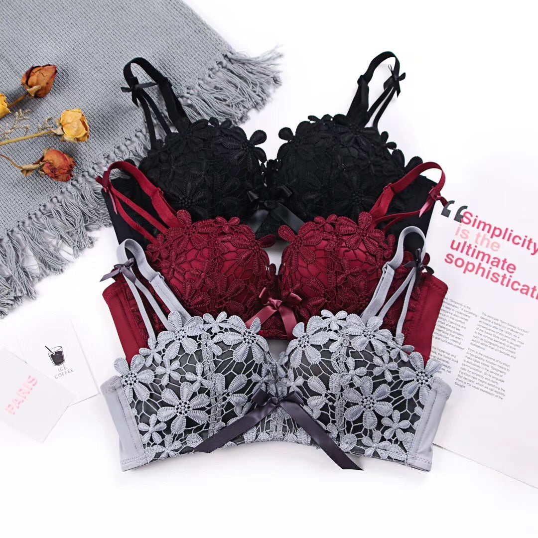 Lace Embroidered Bra and Panties Set