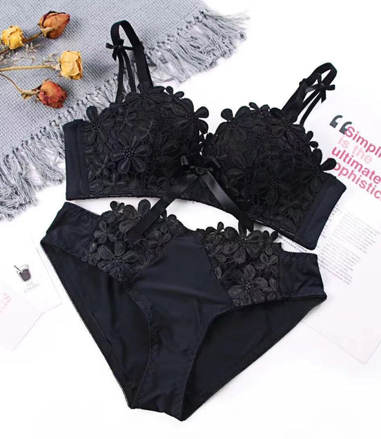 Lace Embroidered Bra and Panties Set