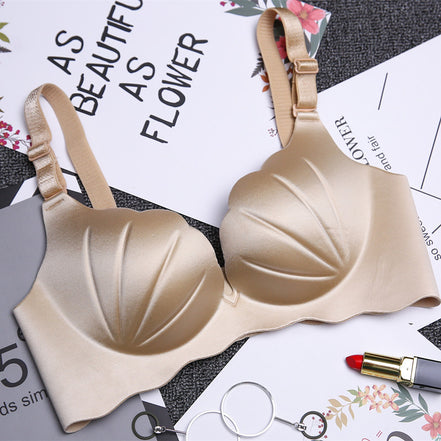 No Steel Ring Shells Design Bra (1pc)